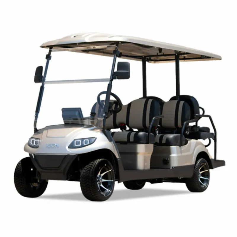 2025 ICON i60