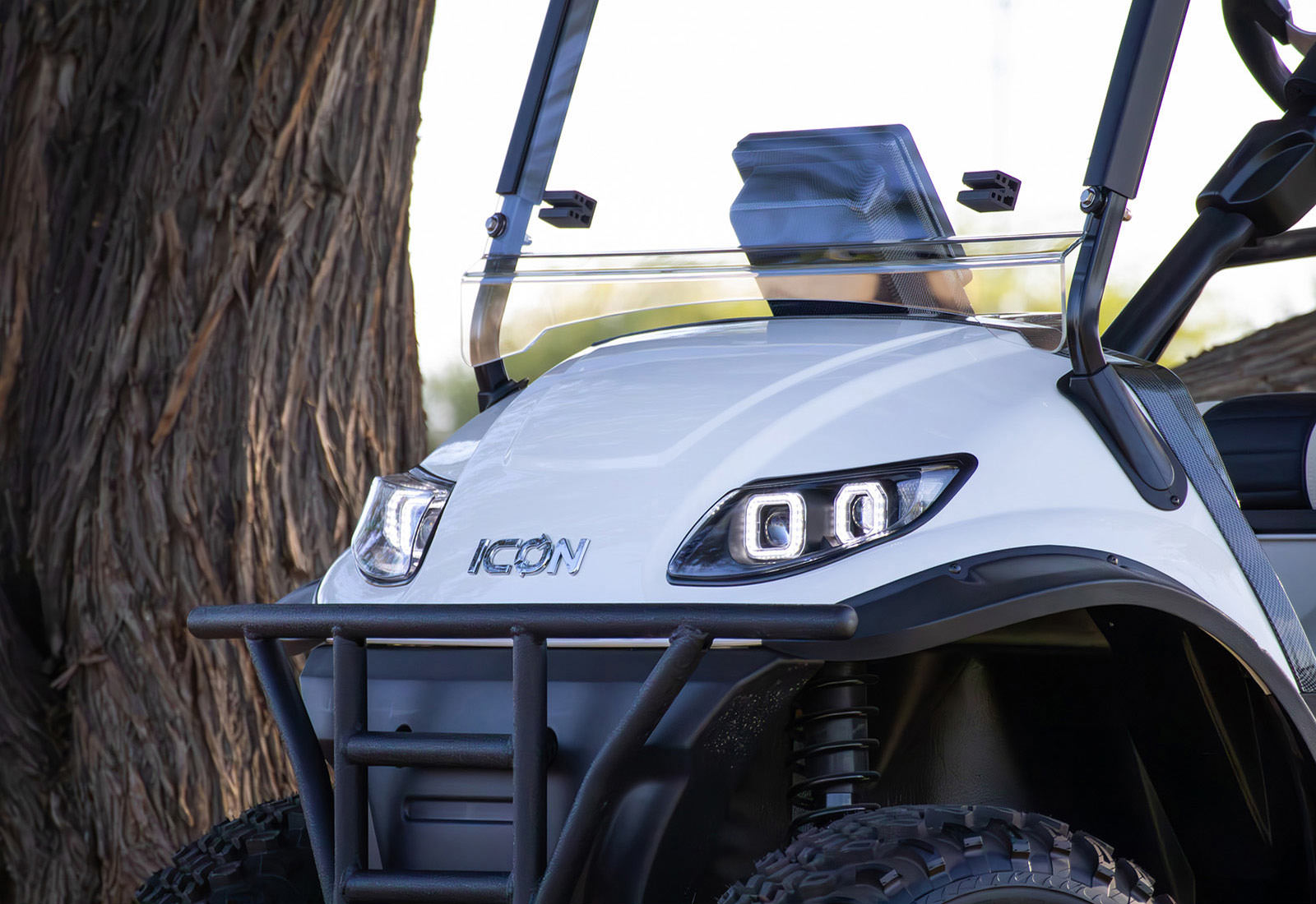 2025 ICON i60L view 17